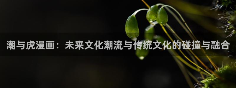 香蕉漫画在线观看