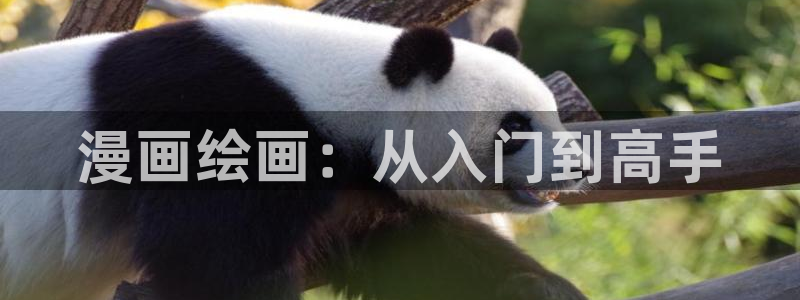 香蕉漫画会员免费