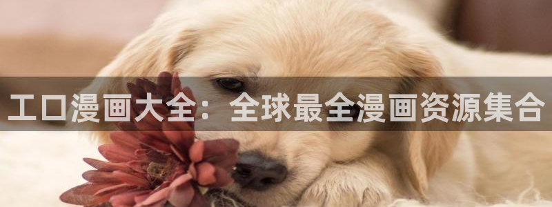 香蕉漫画免费读